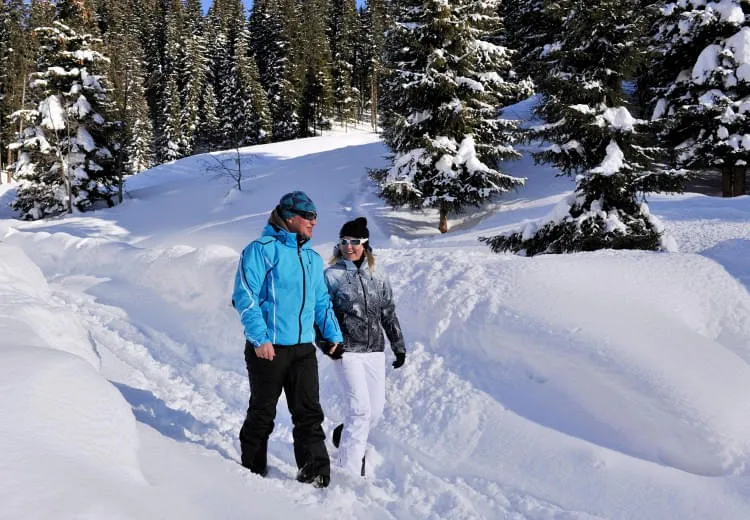 Winterwandern Winterwandern